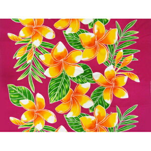 nC@nCAn@MXM-16-58y [WvA z