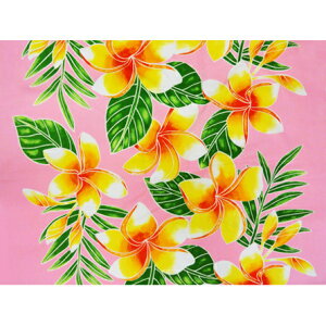 nC@nCAn@MXM-16-58y [WvA z