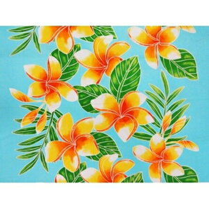 nC@nCAn@MXM-16-58y [WvA z