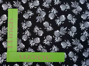 nC@nCA@Rbgn CHOE-515 y pCibv z