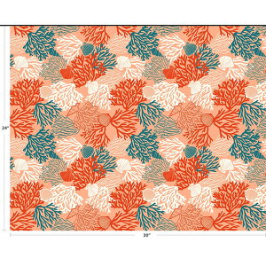 nC@nCA@Rbgn@CHOE-557y R[&N z