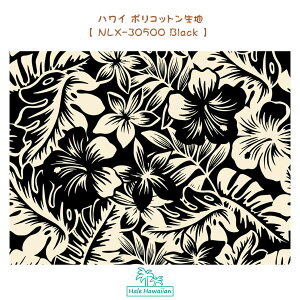 nCA@|Rbgn@NLX-30500 ygsJ t[[tz