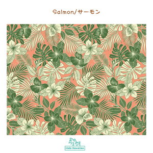 V nC nCA vg Rbgn NLX-41177y vA [t z