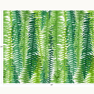 nC@nCA@Rbgn OSA-137y nCAt@[ z