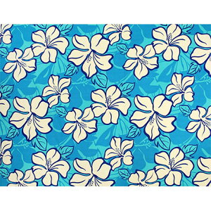 nCA@|Rbgn@BQ-09-692y pXenCrXJX z