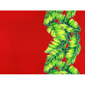 nCA@~ebhGfBV@|Rbgn@TX-19-35y oii[t{[_[