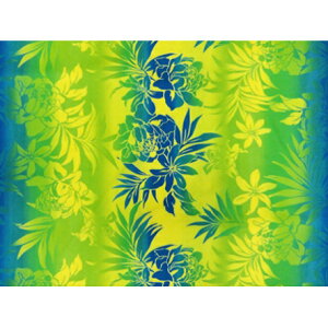 nC@nCAn@LW-16-504 yOf[V/g[`WW[z