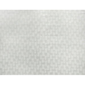 nC@nCA@Rbgn LW-16-500y pCibv z