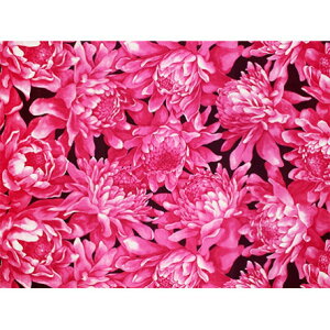 nCAn@t@ubN LMH-17-857 y g[`WW[ z