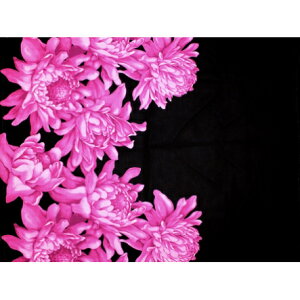 ハワイ ハワイアン生地 LMH-19-911【 トーチジンジャーボーダー 】