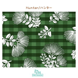 nC nCA Rbgn PTT-114y pJ tA z2g[