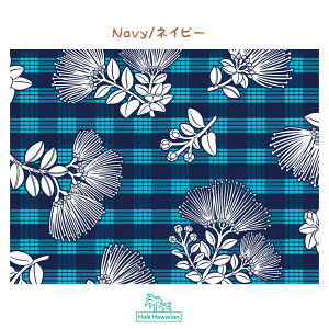 nC nCA Rbgn PTT-114y pJ tA z2g[