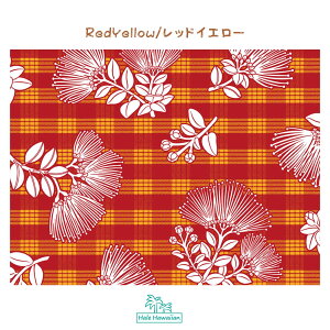 nC nCA Rbgn PTT-114y pJ tA z2g[