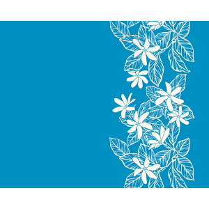 nCAn t@ubN LW-24-941y eBA {[_[ z