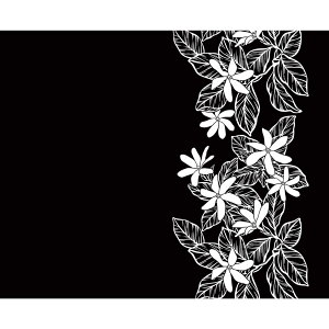 nCAn t@ubN LW-24-941y eBA {[_[ z