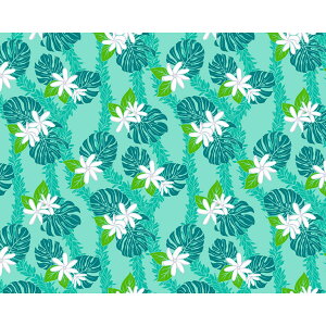 nCAn t@ubN LW-24-952y eBA Xe Cz