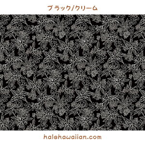 nCA |Rbgn LW-23-907 y vA NE z