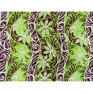 nCA@|Rbgn@BN-16-161y eBApl z O[uE