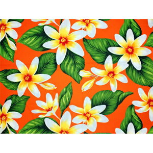 nCA@|Rbgn@LMH-17-863y rbOeBA z IW