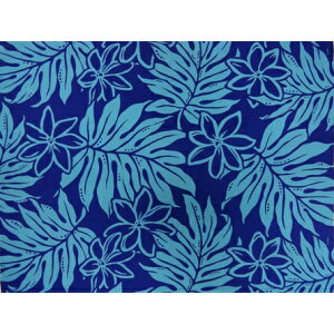 nC@nCAn@LW-15-446y eBAEEAGz u[