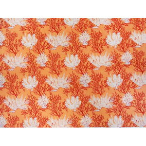 nCA@|Rbgn@LW-16-527 y R[ / TS z R[