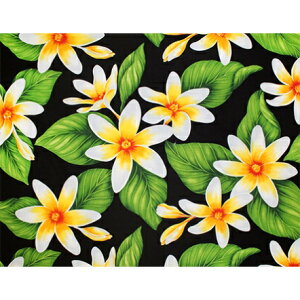 nCA@|Rbgn@LMH-17-863y rbOeBA z ubN