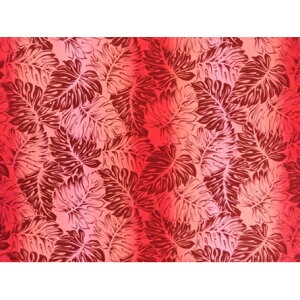 nCA@|Rbgn@LW-17-573y Xe/Of[V z uEER[