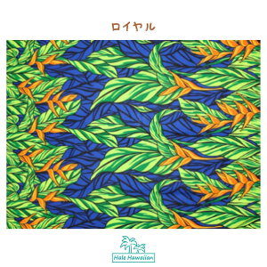 nC@nCAn@LW-19-687y nRjApl z