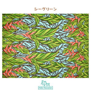 nC@nCAn@LW-19-687y nRjApl z