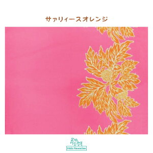 ݌ɏn nCAn@t@ubN LW-17-577 y E {[_[ z