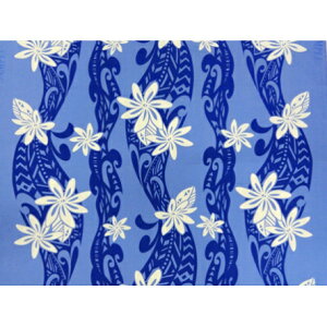 nCA@|Rbgn@pl@LW-17-580y eBA^pplz