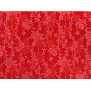 nCA@|Rbgn@LW-17-581y nCA ACh t[ z