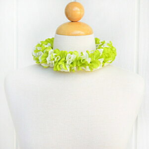 nC@tߑ@VN t[wbhohy New WW[ / _u nNC z O[&zCg