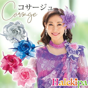 [ RT[W [GD207-GD213-KS-GD079-2895-3765] ANZT[ ߑ R[X  t \ߑ Xe[Wߑ Xe[W JIPߑ  p[eB[ tH[} \ ߑ X