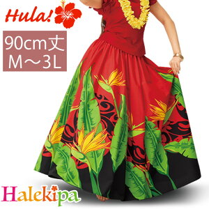 [ t_XXJ[g Ԍn [SK508-3575] tߑ \ Cxg nCA t_Xߑ tXJ[g pEXJ[g OXJ[g Xe[Wߑ bX K