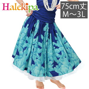 [ pEXJ[g Cu[×^[RCY RB204 [SK444-7-3769] t_X ߑ t_Xߑ tXJ[g XJ[g nCA \ tߑ u[  g[`WW[