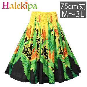 [ pEXJ[g [SK444-7-3789] t_X ߑ t_Xߑ tXJ[g XJ[g pE p[E[ nCA \ tߑ CG[ F  Ɋy