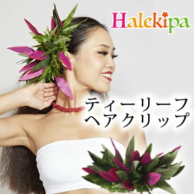 ティーリーフクリップ [YCKZ2107-6030] フラダンス フラ クリップ ヘアクリップ 髪飾り 花 ティーリーフ 大きめ 華やか 目立つ ステージ ステージ衣装 衣装小物 フラダンス衣装 フラ衣装 フラダンス小物 フラ小物