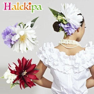 ɉ؂€^_Ȉւ̉ԃfbNXQbJrWNbv@[YCYZ2101-6032]t_X t Nbv wANbv   l 傫 bh  zCg  ؂₩ ڗ