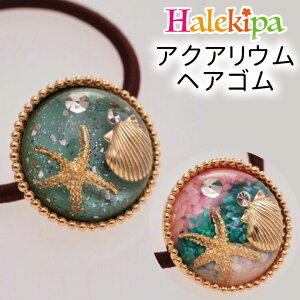 ANAEwAS [4KXZ7699-6064] wAS S   ANAE nC nCA  킢  } L C  ANZT[ wAANZT[ wAANZ