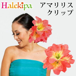 fbNXA}XNbv [YCKZ0321-6090] t_X t wAsbN wAANZ   傫 ؂₩ ڗ Xe[W Xe[Wߑ ߑ ^q`A t_Xߑ tߑ 