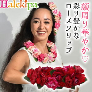 r[eB[[YNbv [YCDZ4102-6107] t_X t_Xߑ t tߑ ANZT[ wANbv [Y P  킢 sN }EC GKg ؂₩ wAANZT