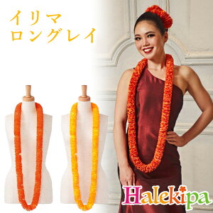 C}OC [YCKZ0309-6123] t_X t C O OC C}  nCA IW CG[ r^~J[ X^_[h