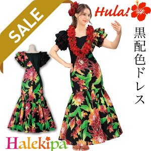 [y݌ɌZ[zzFhX [OP446-1-3599-91391] t_X OhX s[X t_Xߑ [[ ts[X nCAhX AEAi JqR@Cxg \