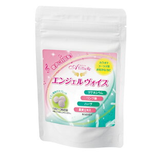 [ GWFHCX 90 [Z0520] Tvg Tv ^ubg ̂ PA A ̂ǈ ێ  S_  JIP R[X Xe[W n[u T|[g