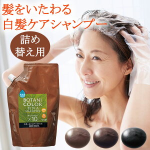 {^jJ[HNAJ[Vv[ Piilւpj [Z1081] wAJ[Vv[ wi J[O R i` wAPApi