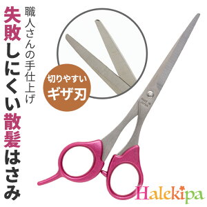 El̎UJbgnT~ [Z1721] 򕌌 ֎s El { ֗ U q l wAJbg p