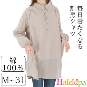 [y݌ɌzȂ銄BVc [Z3103] B  Gv XbN fB[X Vc n Vv ۂ [EFA 100 Rbg i` v[