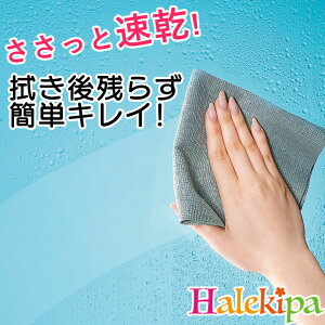 ƑIE҃NX [Z3146] NX ӂ z ^I _X^[  }CNt@Co[ z |  PVA @グ | |