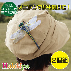 Ij}LO 2g [Z3276] Ij} g{ ɂ 悯 g{  ΍  x_ U   K[fjO ނ Ro Lv nCLO  _